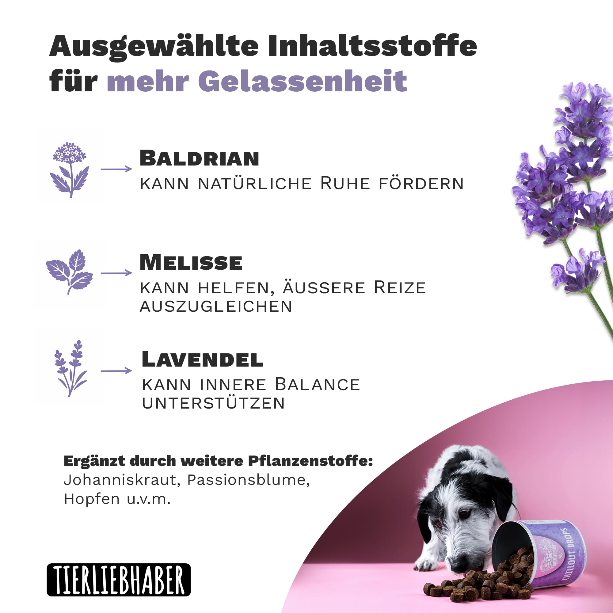 SPARSET - Zeckenschutz Hund Z-Spot mit Geraniol – Pflanzliches Zeckenmittel für Hunde tierärztlich entwickelt + Chillout Drops Beruhigungsmittel für Hunde – Natürliche Beruhigung Hund mit Baldrian