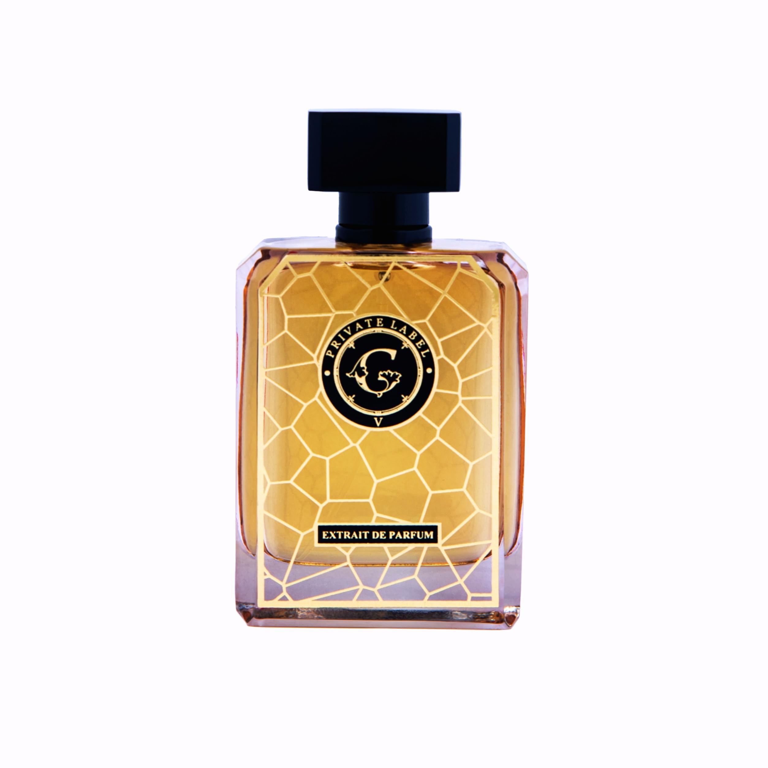 Private Label V 110 Ml Unisex Extrait de Parfum