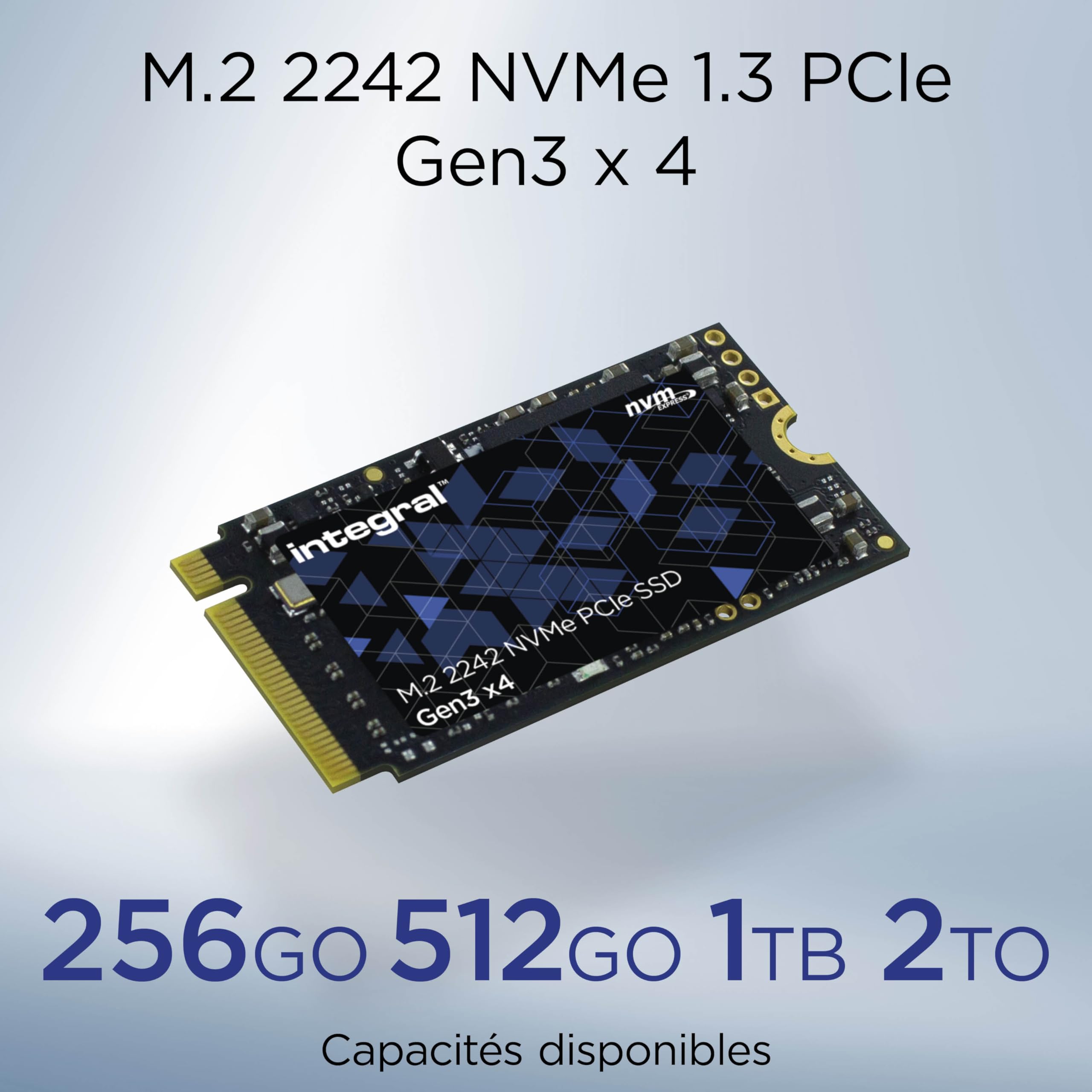 Integral SSD M.2 NVMe 2242 PCIe Gen3 x4 da 256 GB - Velocità di lettura fino a 2400 MB/s, velocità di scrittura fino a 1100 MB/s - Unità a stato solido interna. Compatibile con PC, NUC, laptop e