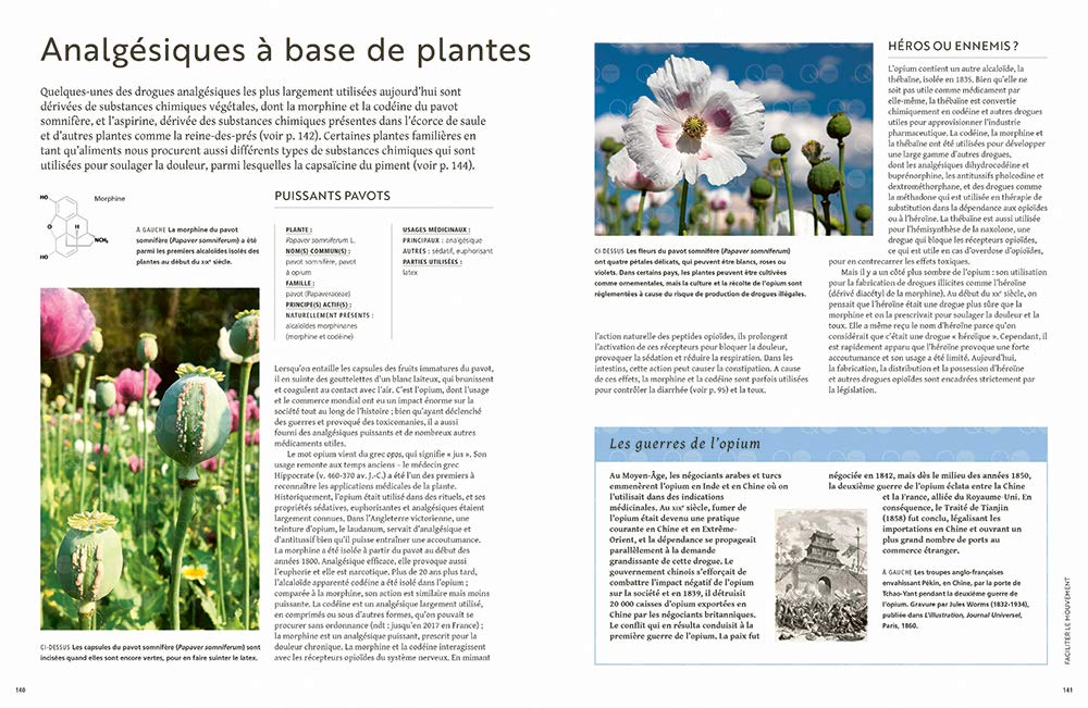 Les plantes qui soignent: Les plantes à l'origine des produits pharmaceutiques et des remèdes naturels