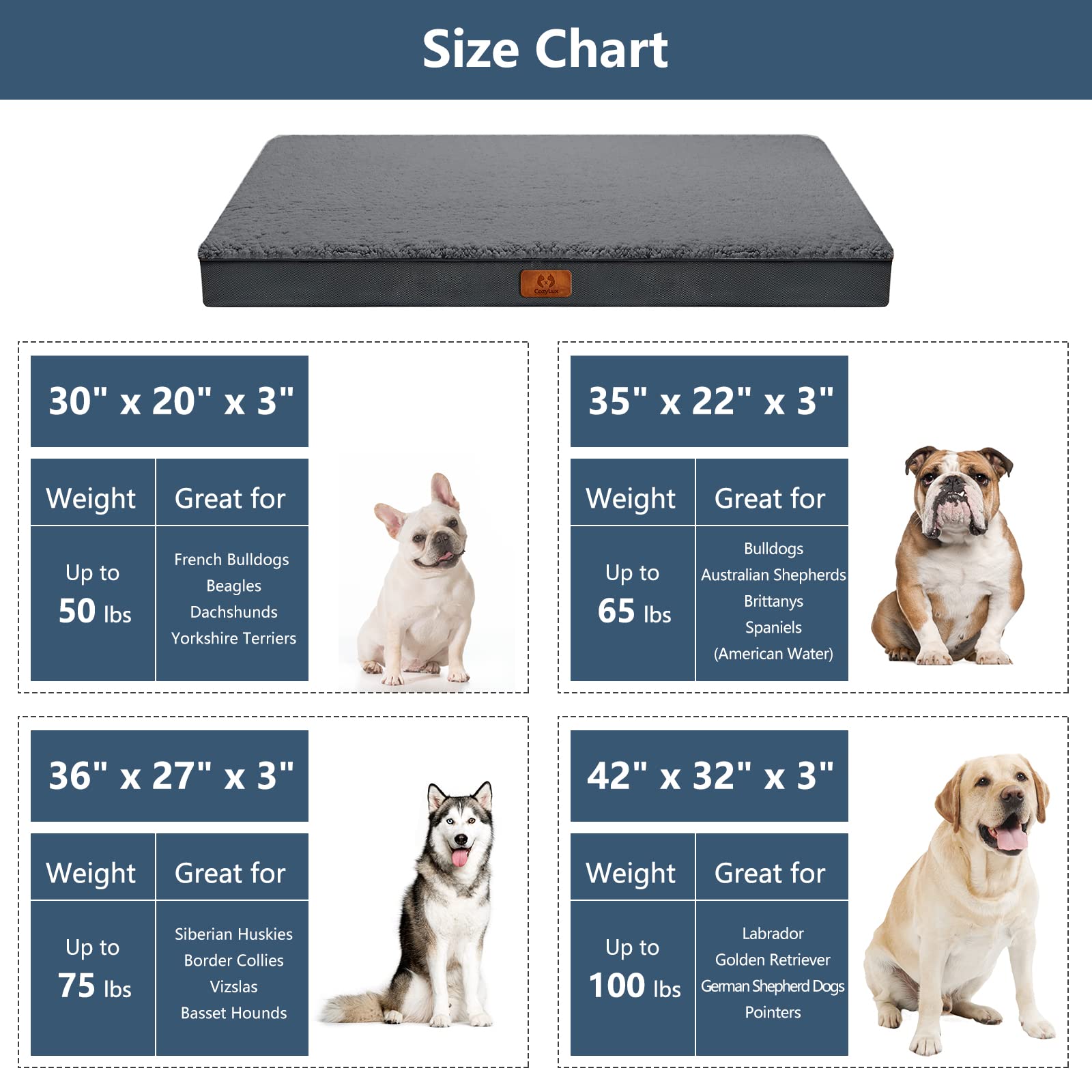 https://m.media-amazon.com/images/I/71N7Ft0+b2L.jpg