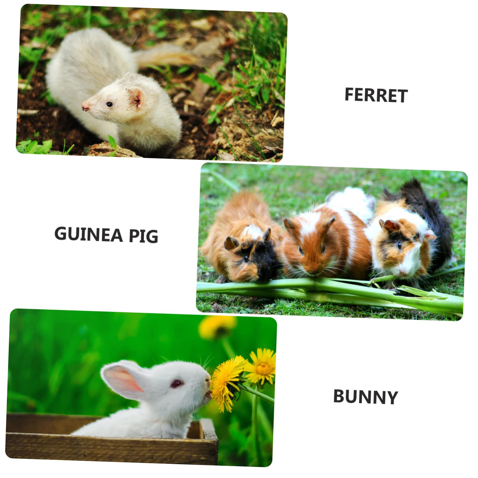 Beaupretty 9piezas Comedero Colgante para Conejos y Roedores Alimentador De Hierba Cadena para Hámsters Chinchillas y Cobayas