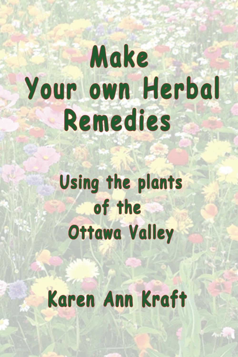 Make Your own Herbal Remedies: Using the plants of the Ottawa Valley