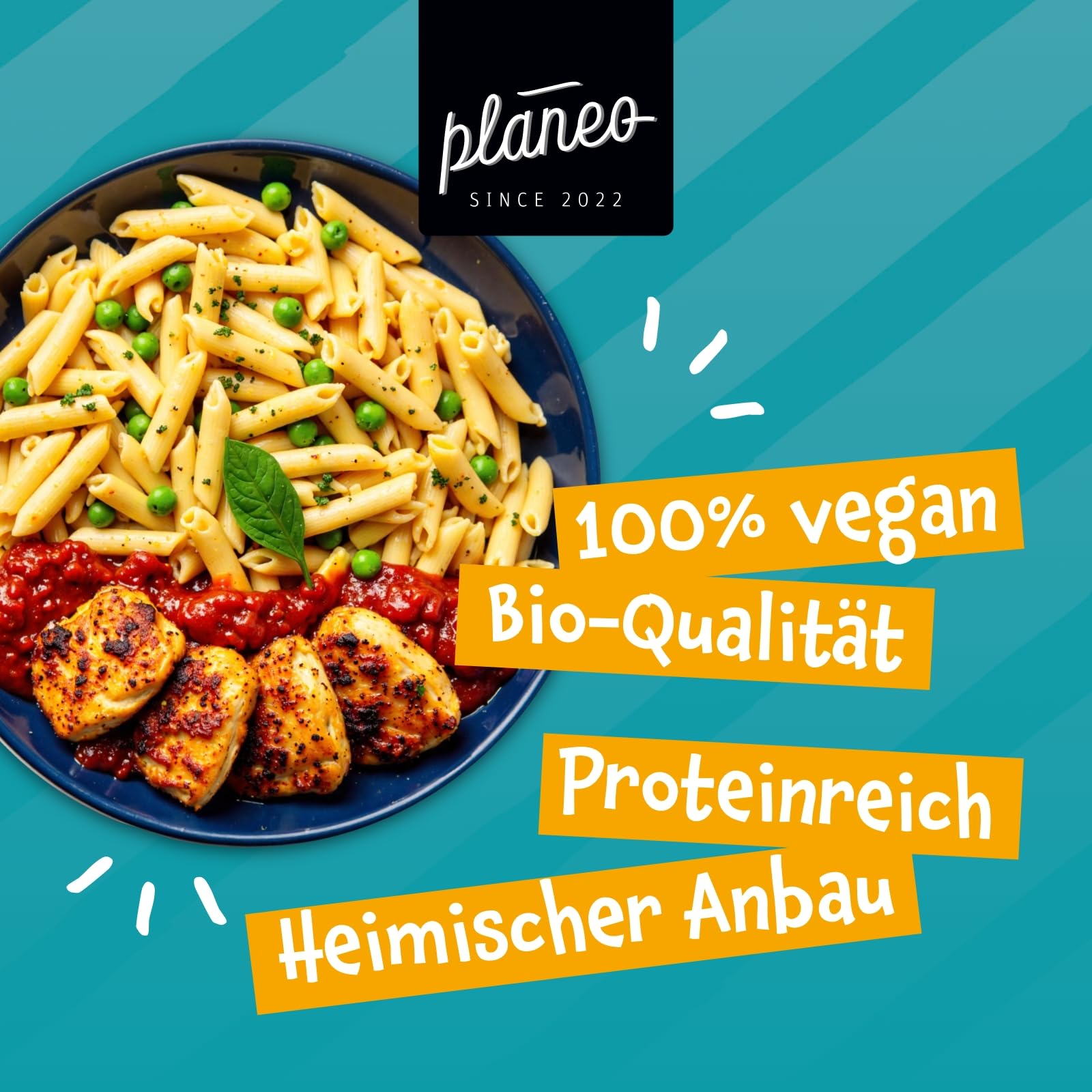 Planeo Bio Erbsen Medaillons 600g - Vegane Fleischalternative aus Erbsen und Ackerbohnen, Hoher Proteingehalt