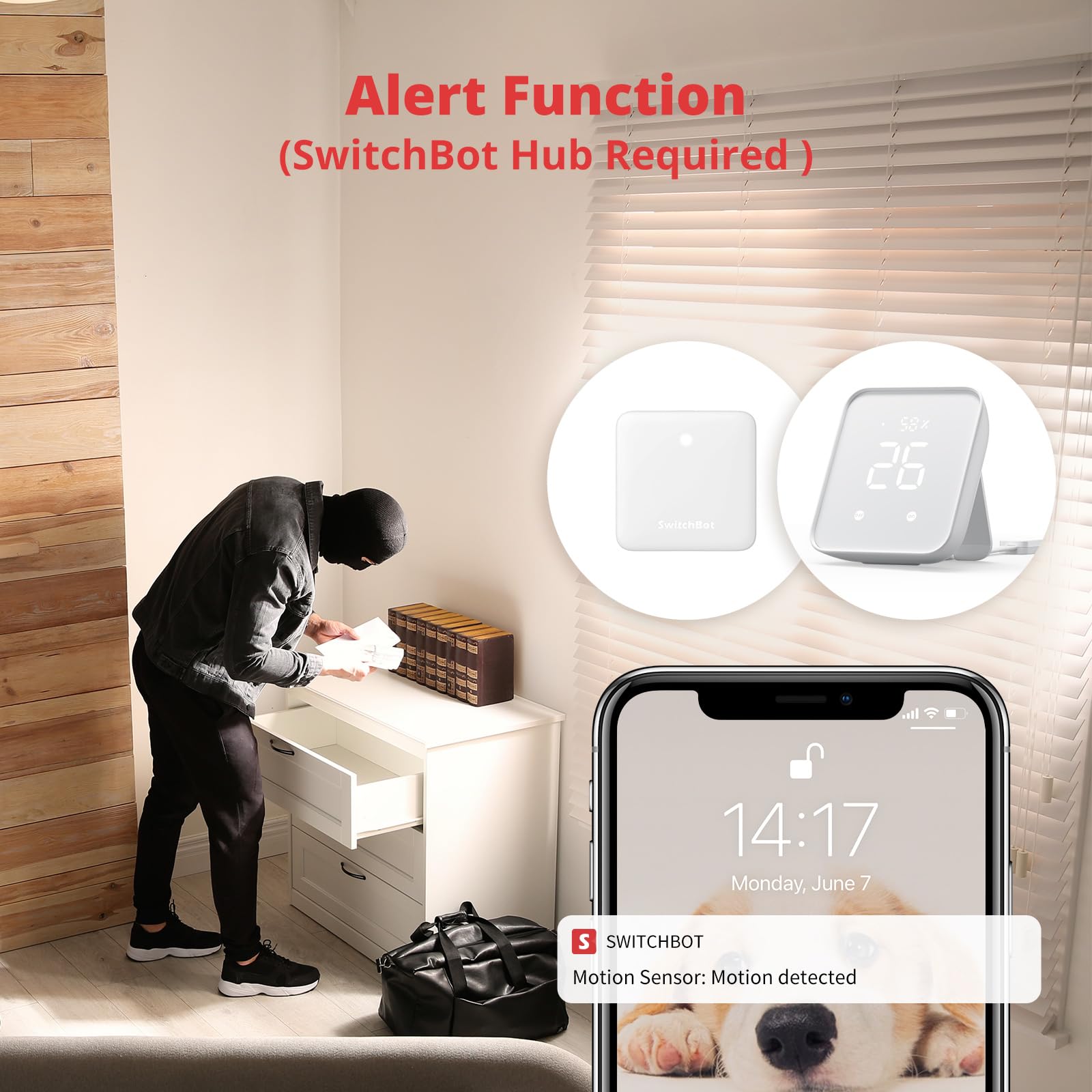 SwitchBot Tür-/Fensterkontaktsensor 3er Pack + Bewegungssensor Set – Komplettes Haussicherheitssystem: Tür- & Fensterüberwachung mit Bewegungserkennung und Alarm, Kabellos, Batteriebetrieben, Alexa ko