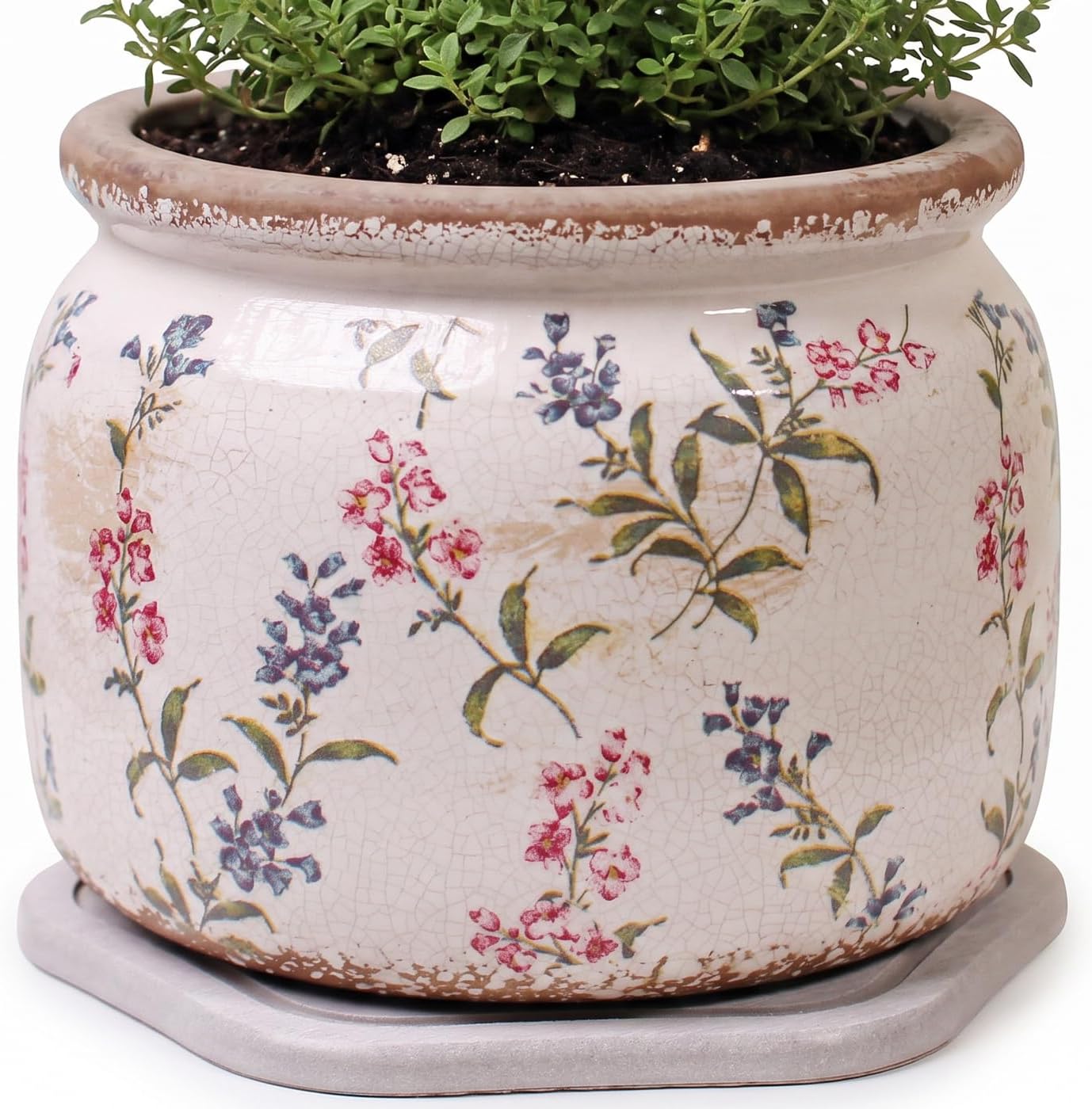 French Country Ceramic Plant Pot with Decorative Saucer, Plant Lover Gifts