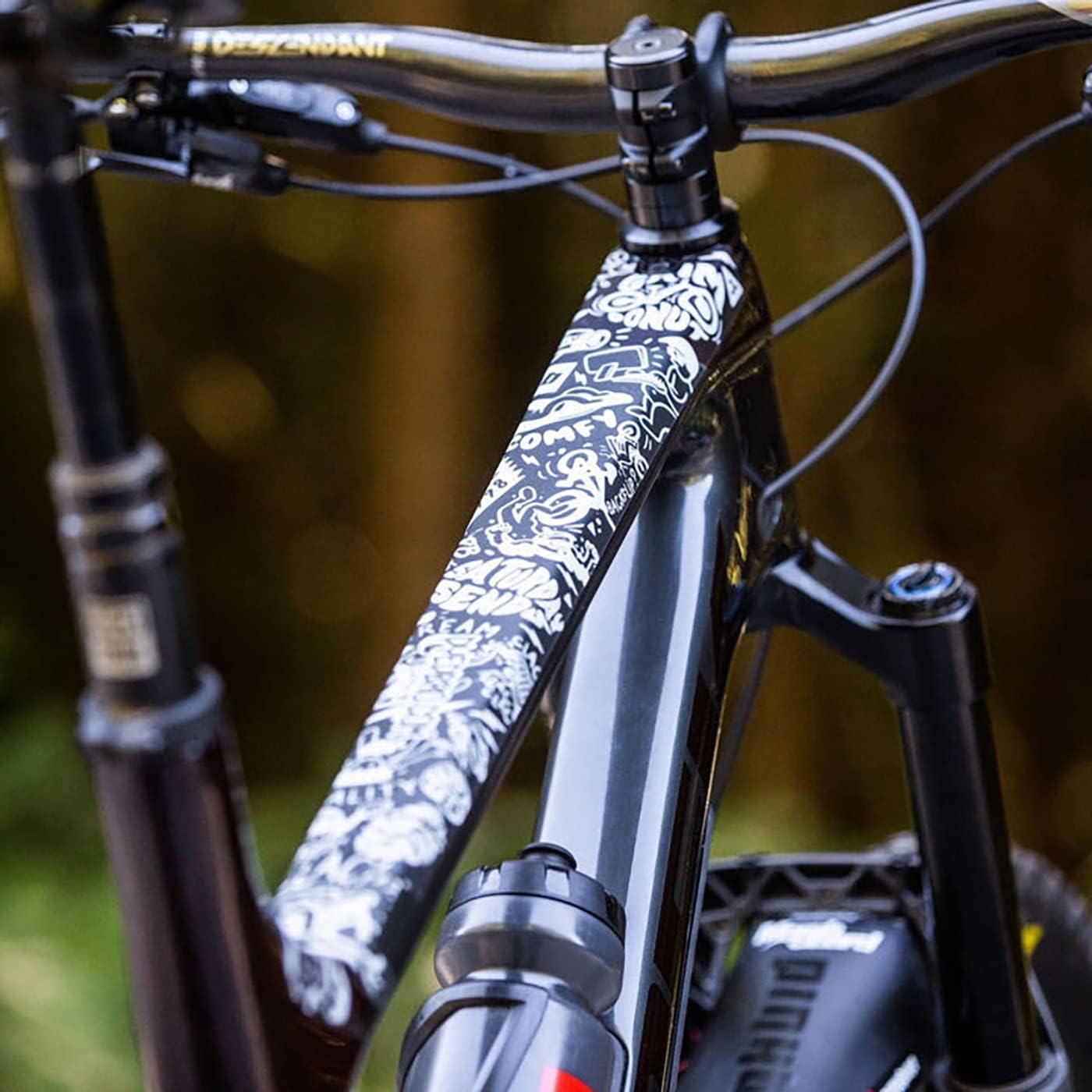 mountain bike frame protector