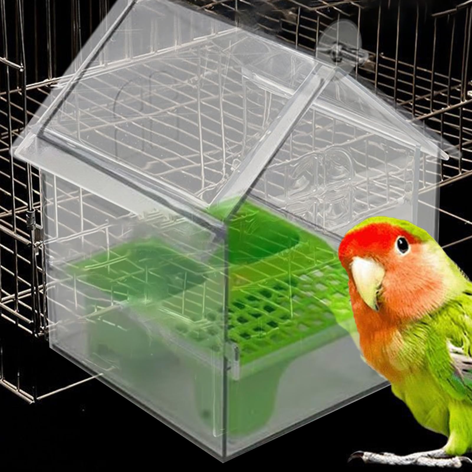 s Casa para Pájaros Exterior y Bebedero Transparente | Bol de Comida para Pájaros Para Periquitos, Colibríes, Pinzones, Balcón, Patio, Jardín, Patio Trasero, Observación de Aves y