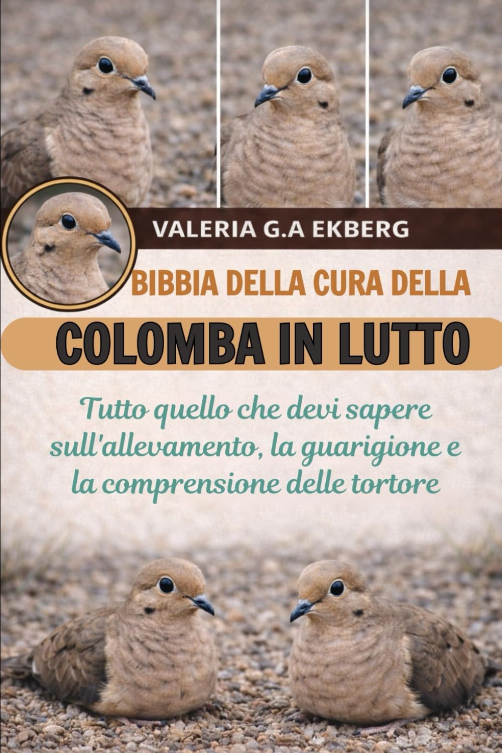 BIBBIA DELLA CURA DELLA COLOMBA IN LUTTO: Tutto quello che devi sapere sull'allevamento, la guarigione e la comprensione delle tortore