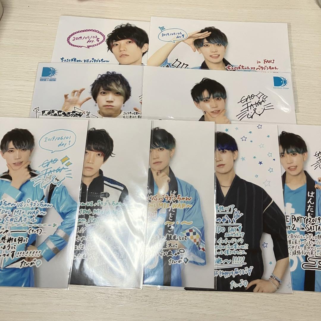 Amazon.co.jp: パンダドラゴン ぱらごん 日替わり2L生写真 たい