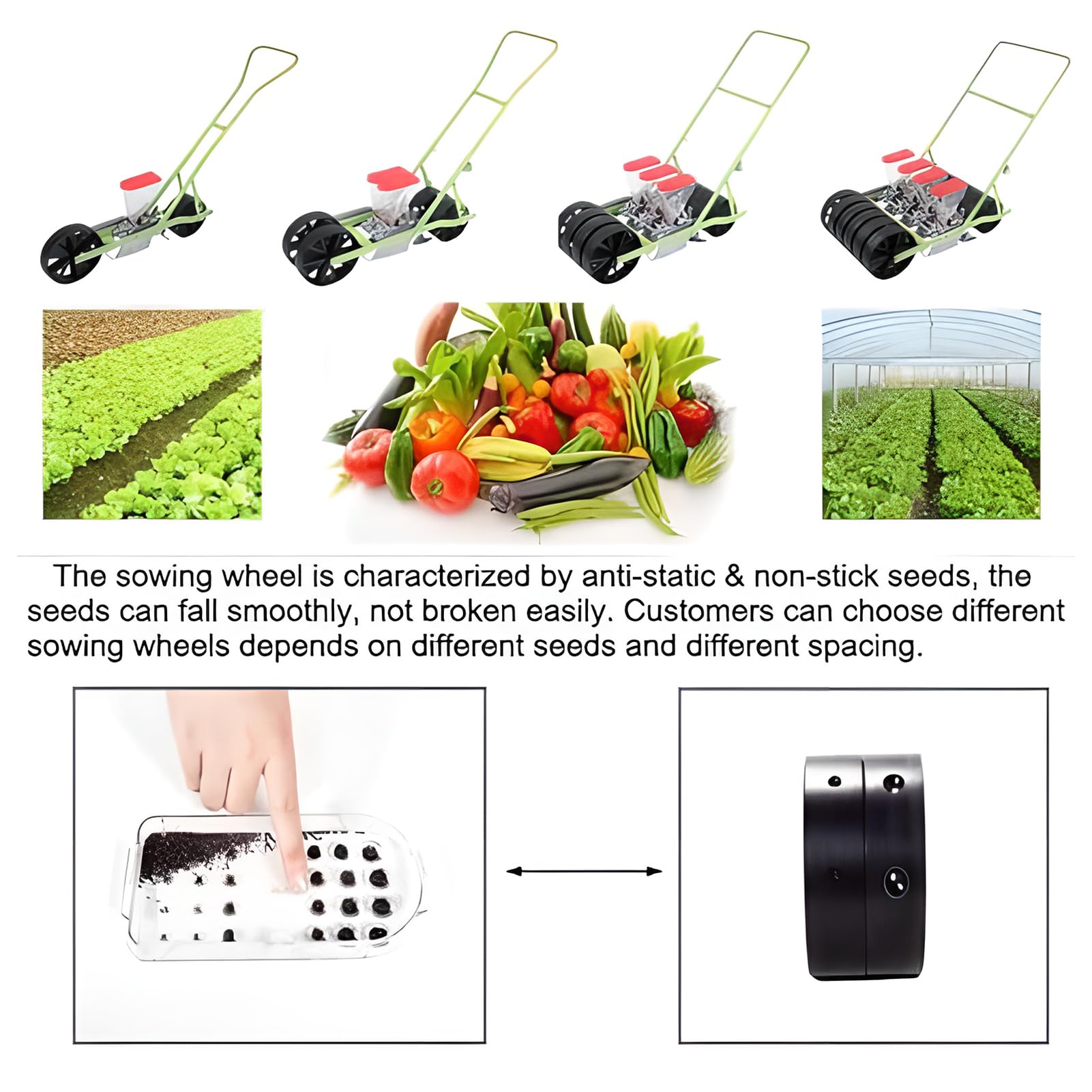 Seminatrice da giardino con spinta manuale, strumento regolabile per la spaziatura delle piante, controllo di precisione della profondità 0-4 cm per piantare mais, soia, arachidi, grano e fagioli