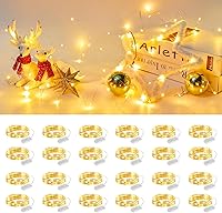 Vista 9 de Brightown Paquete de 24 luces LED de hadas que funcionan con pilas, 20 luces LED, 2,1 metros, cable plateado impermeable, luces de luciérnagas