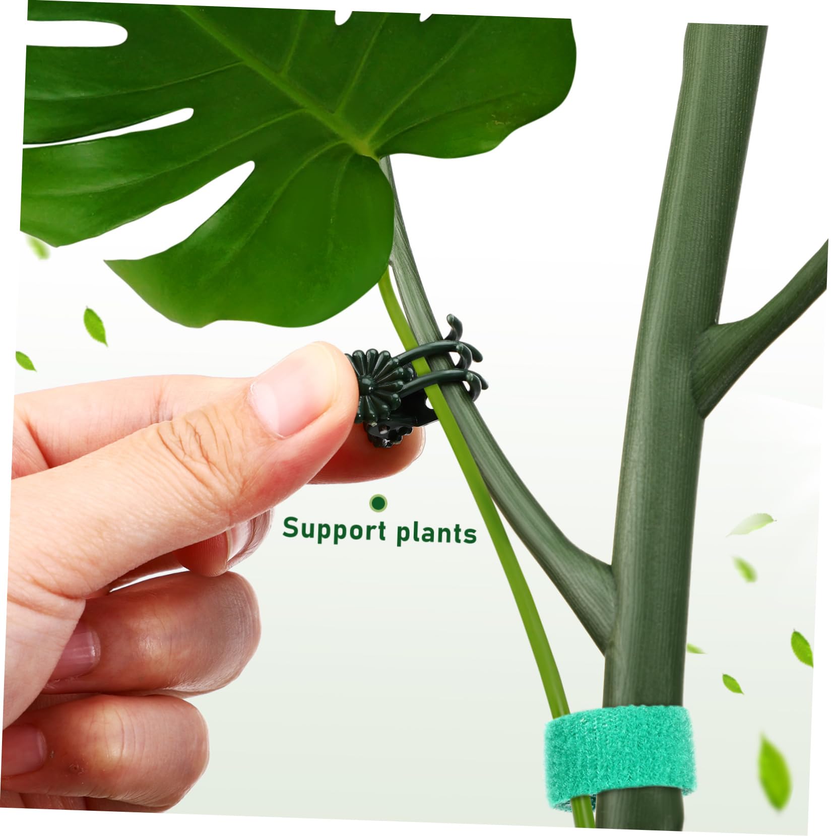Toyvian Tuteur pour Plante Monstera Support Tige Plante Intérieur Kit Tuteurs Jardin avec Pinces Et Attaches Torsadées