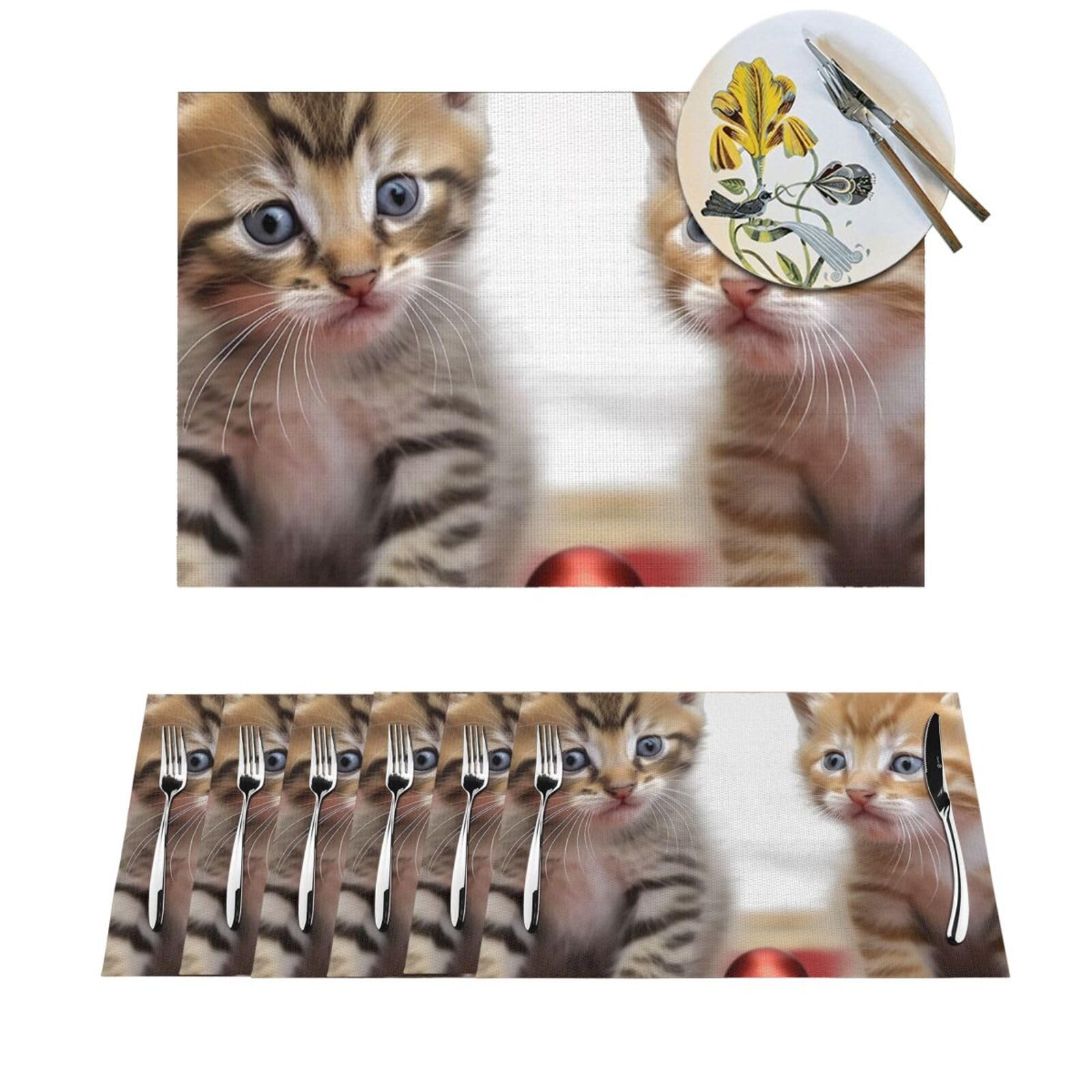 Set de table chaton résistant lavable cuisine lot de 4 PVC