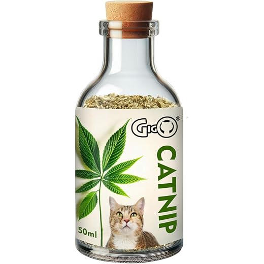 Kashmiri Catnip Herb 50g