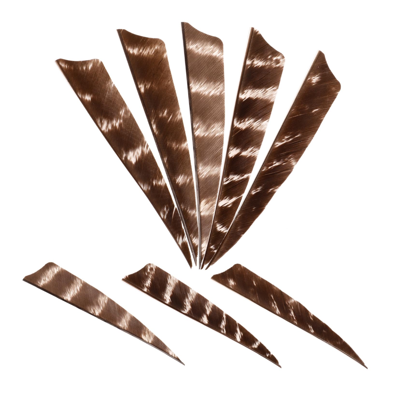 SUPVOX Professional Archery Vanes 8 Pack Real Turkey for Arrow Fletchings Lightweight Durable for Hunting Practice