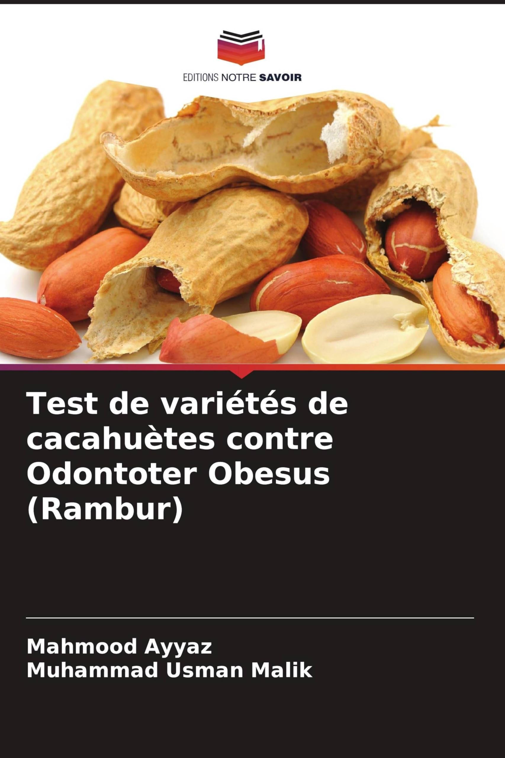 Test de variétés de cacahuètes contre Odontoter Obesus (Rambur)