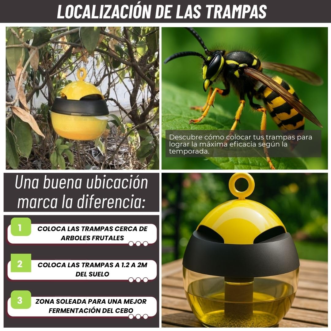 Trampas para Avispas Exterior | Trampa para Colgar o posicionar | Solución Antiavispas | Trampa Reutilizable contra Avispa | sin Cebo atrayente de Avispa | ecológica.