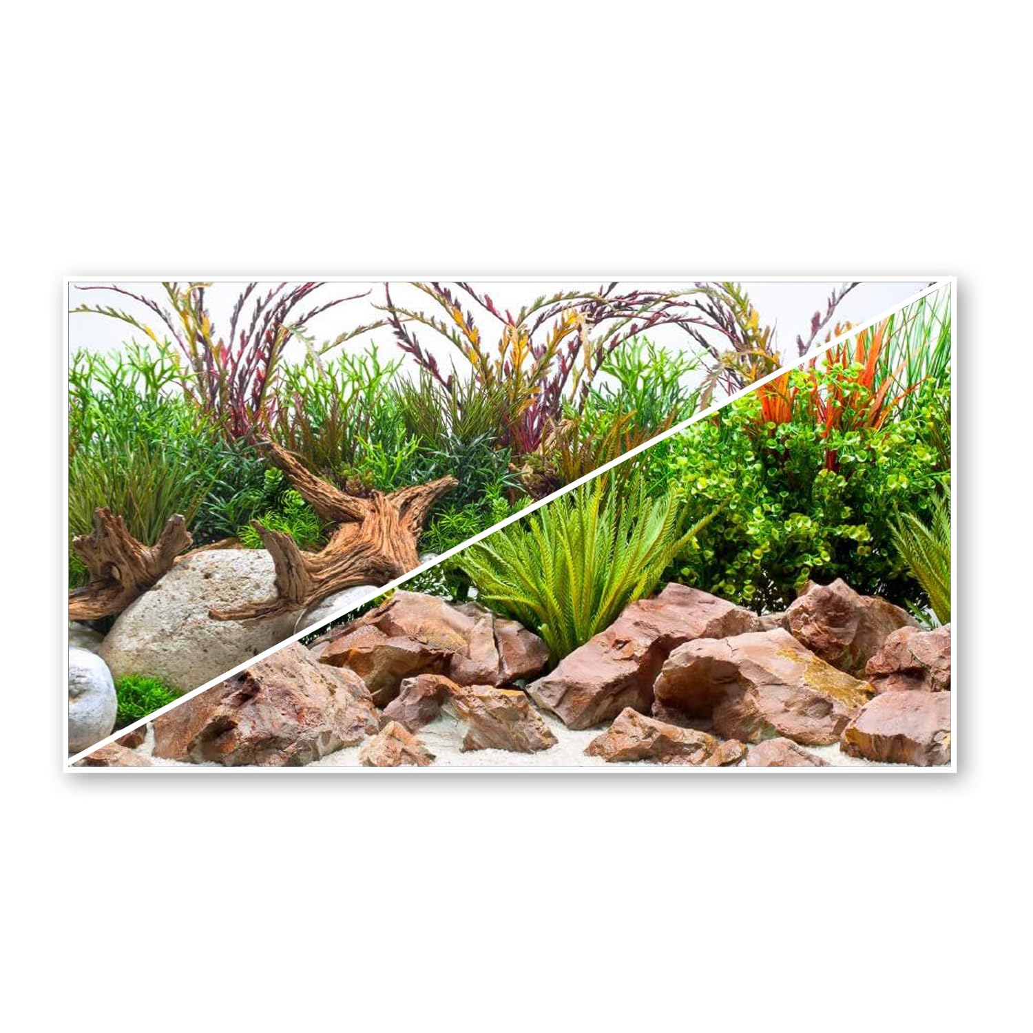 Amtra Sfondo Doppio River - Sfondo Poster per Acquario, Decorazione a Doppia Stampa HD, Double Face, Impermeabile, Formato 30x60 cm