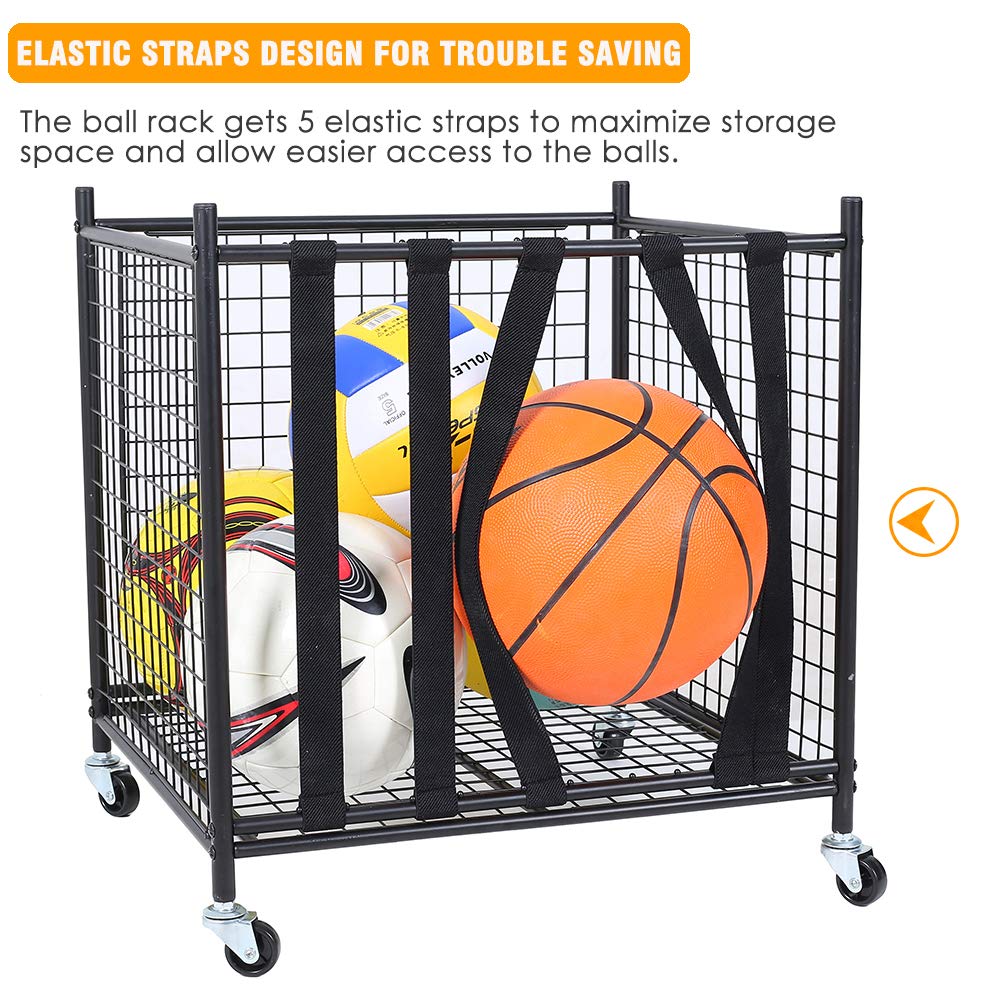 https://m.media-amazon.com/images/I/71N7l0Qp+eL.jpg