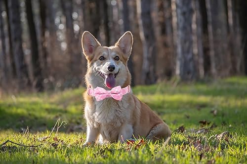 Miniatura 6 de THAIN Collar de perro personalizado con lazo para perros machos y hembras, puntos de mezclilla, patrón ninja a cuadros, collares para mascotas