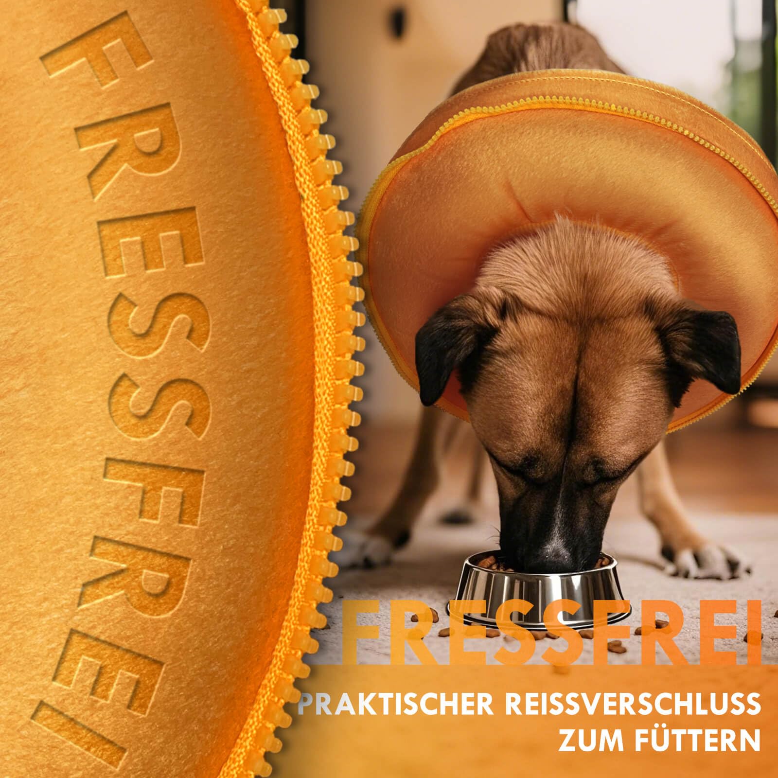 2 IN 1 Aufblasbare Halskrause Hund, nur f​ür Mittel- und Großhunde Entwickelt,Trichter Leckschutz Hund nach OP, Dog Cone, Halskrause Katze, Hunde Donut [Size 5]