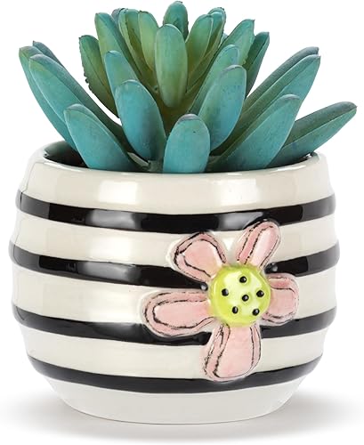 Vista 20 de DEMDACO Heartful Home by Tracy Pesche Collection Mini suculentas falsas corazones rojos lunares negros 2 x 1.5 gres decorativo para decoración