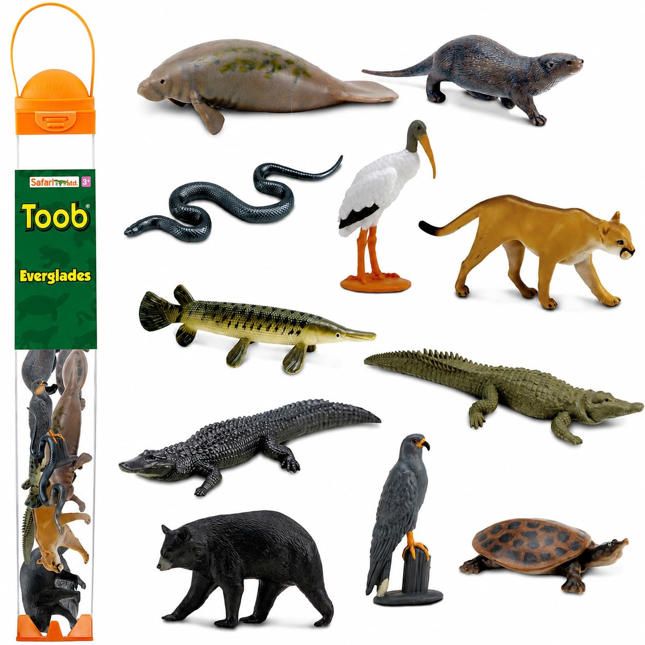 Amazon.com: Safari Ltd. Everglades TOOB - 11 Mini Figurines