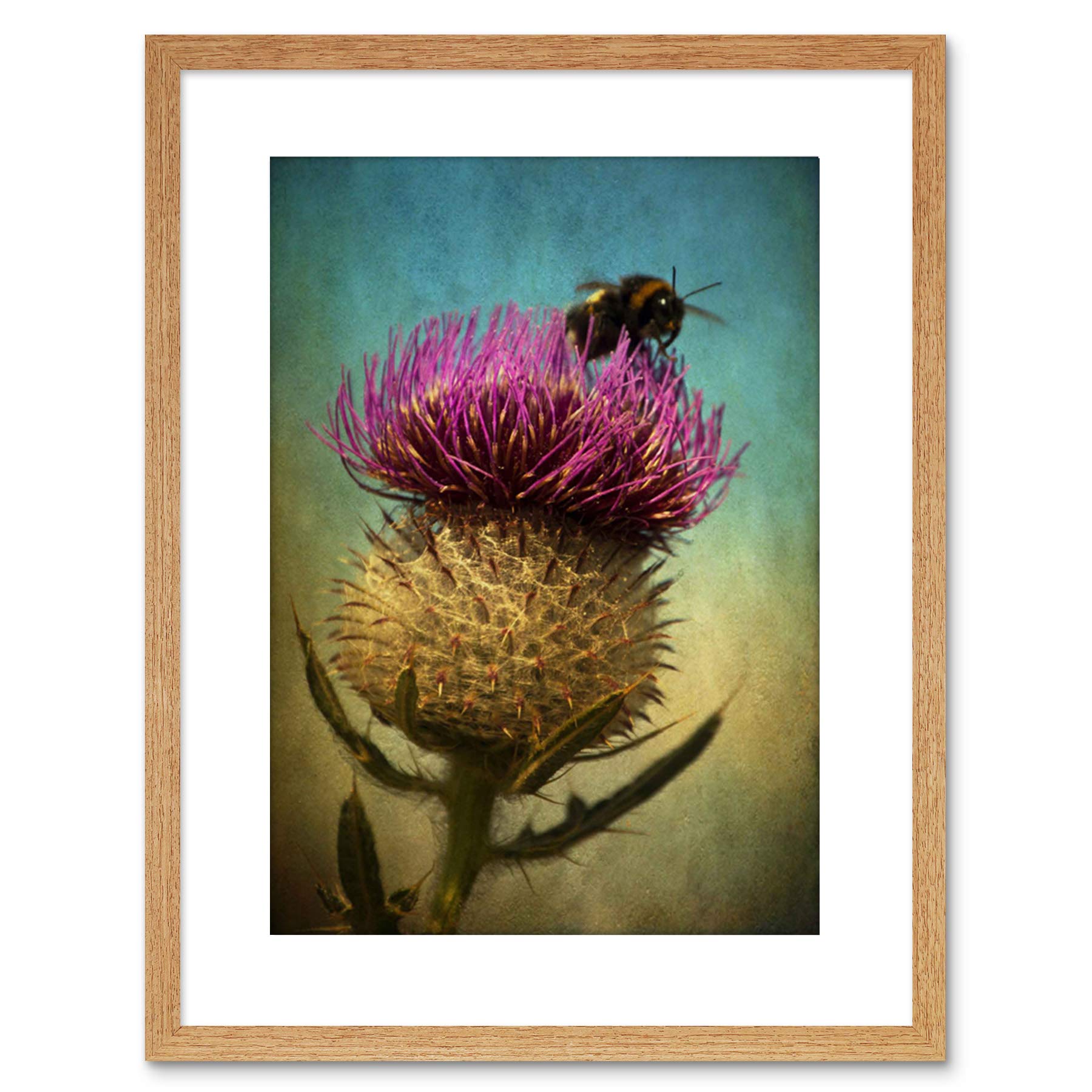 Wee Blue Coo Photo Bumble Bee Thistle Flower Scotland Framed Wall Art Print