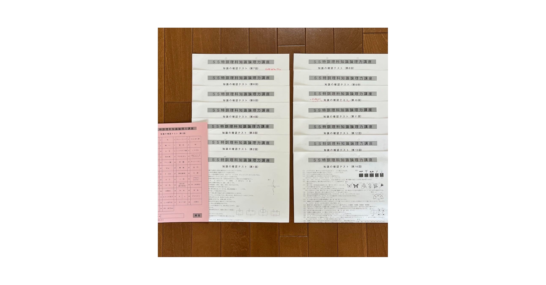Amazon.co.jp: サピックス SS特訓 単科理科 知識の確認テスト 全
