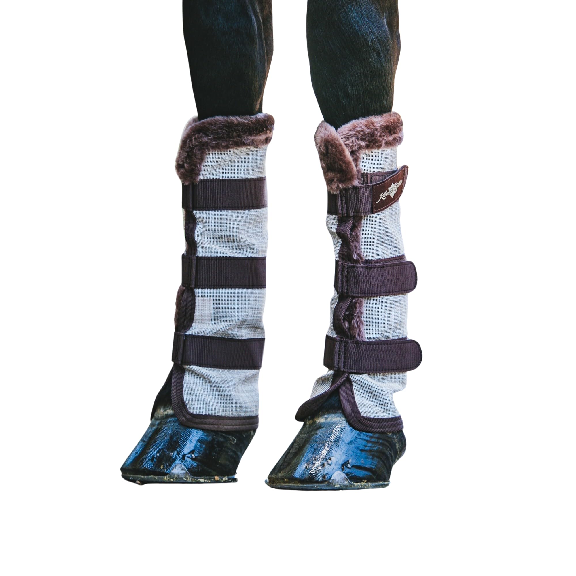 Bottes De Protection Cheval Kensington Grandes, Bordure Polaire, Bleu Et Violet