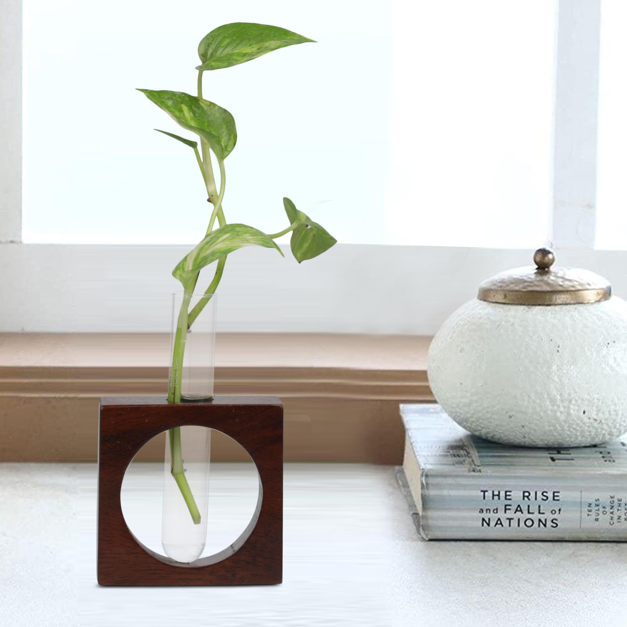 Globally Indian- Where Creativity Wooden 1 Glass Test Tube Home Decor Planter | Money Plant Vase for Home, Office, Study Table, Kitchen | Single Stem Geometric Design Plant Pot (Circle)-image-39
