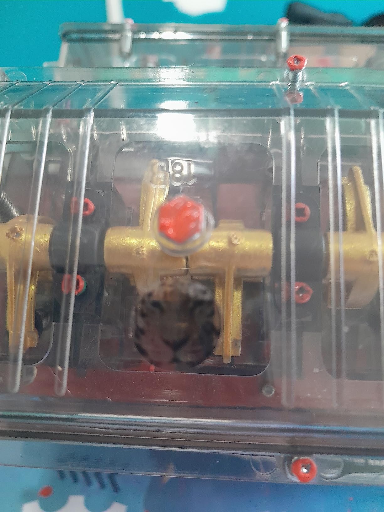 haynes build your own v8