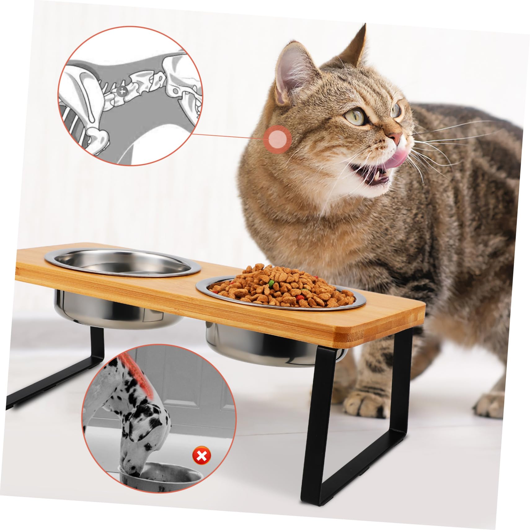 Comedero Elevado para Gatos con Doble Cuenco de Acero Inoxidable | Cuenco de Agua para Gatos, Doble Cuenco con Soporte, Estación de Alimentación para Gatos y Perros Pequeños de Interior