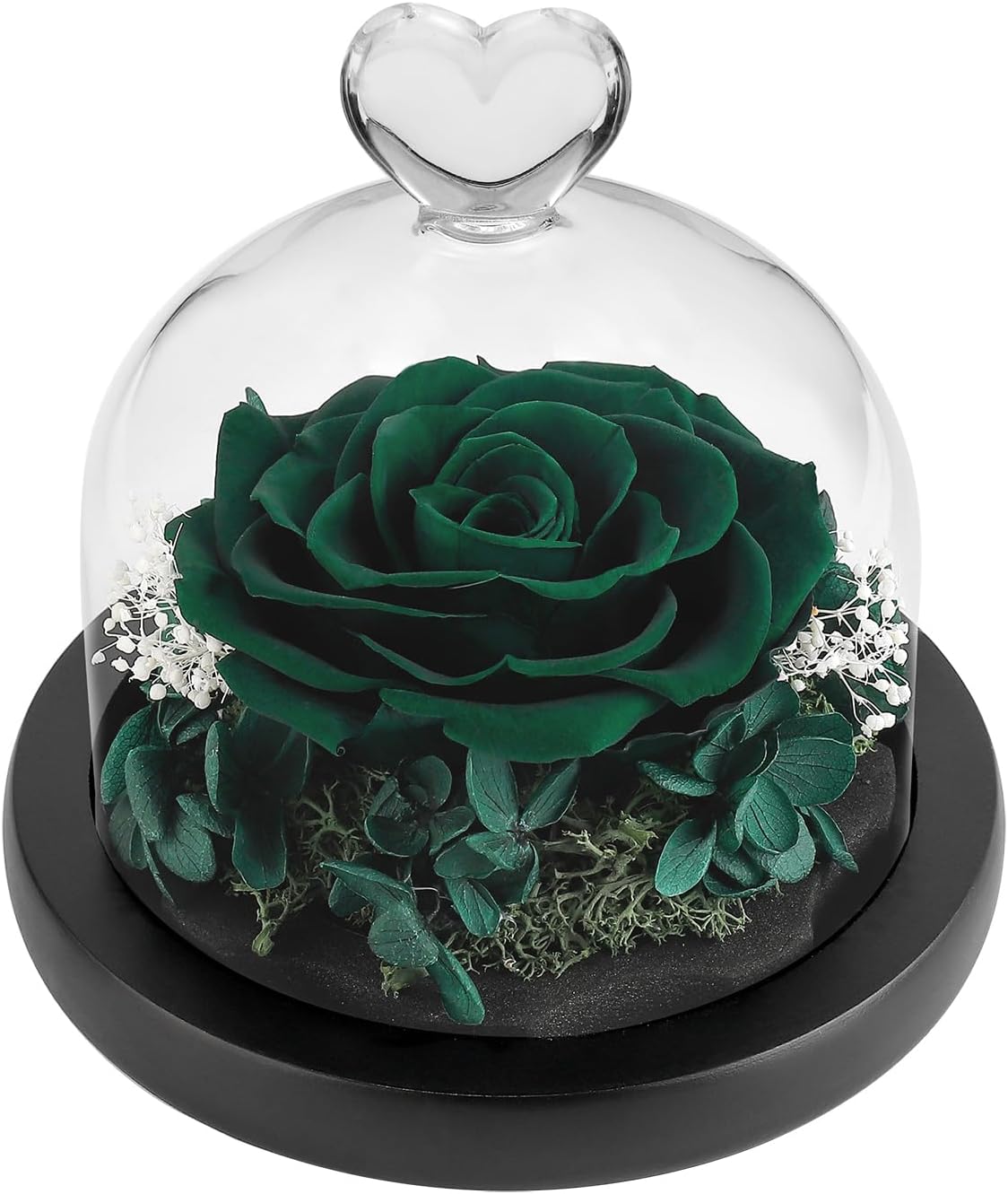 DuHouse Forever Roses Preserved Real Flowers Eternal Enchanted Rose Flower Box for Valentines Gifts Birthday Anniversary Christmas (Dark Green)