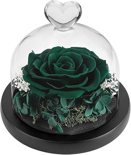 DuHouse Forever Roses Preserved Real Flowers Eternal Enchanted Rose Flower Box for Valentines Gifts Birthday Anniversary Christmas (Dark Green)