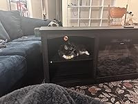 Review Image by Remy