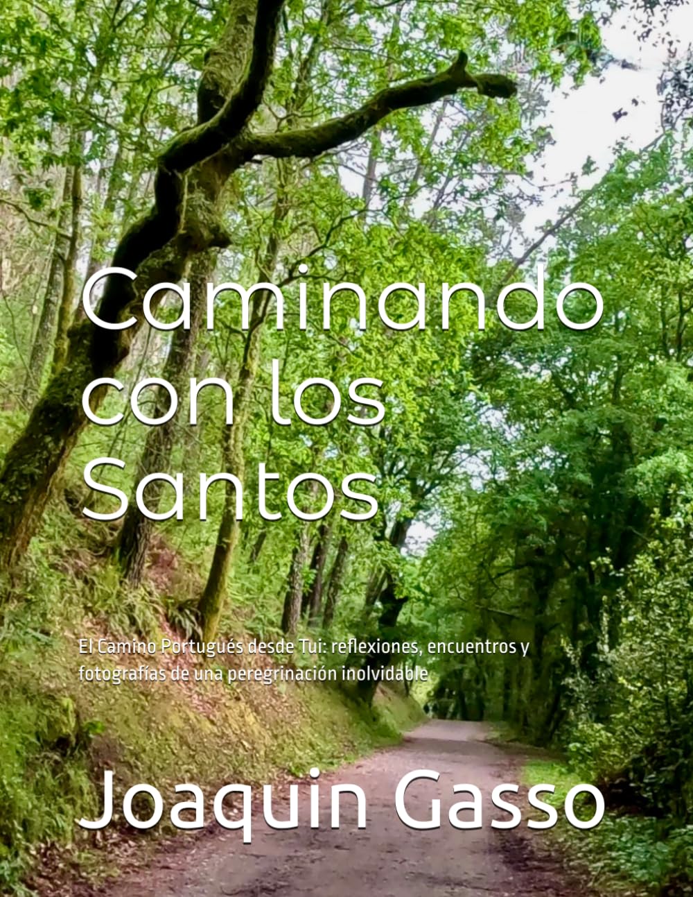 Caminando con los Santos: El Camino Portugués desde Tui: reflexiones, encuentros y fotografías de una peregrinación inolvidable