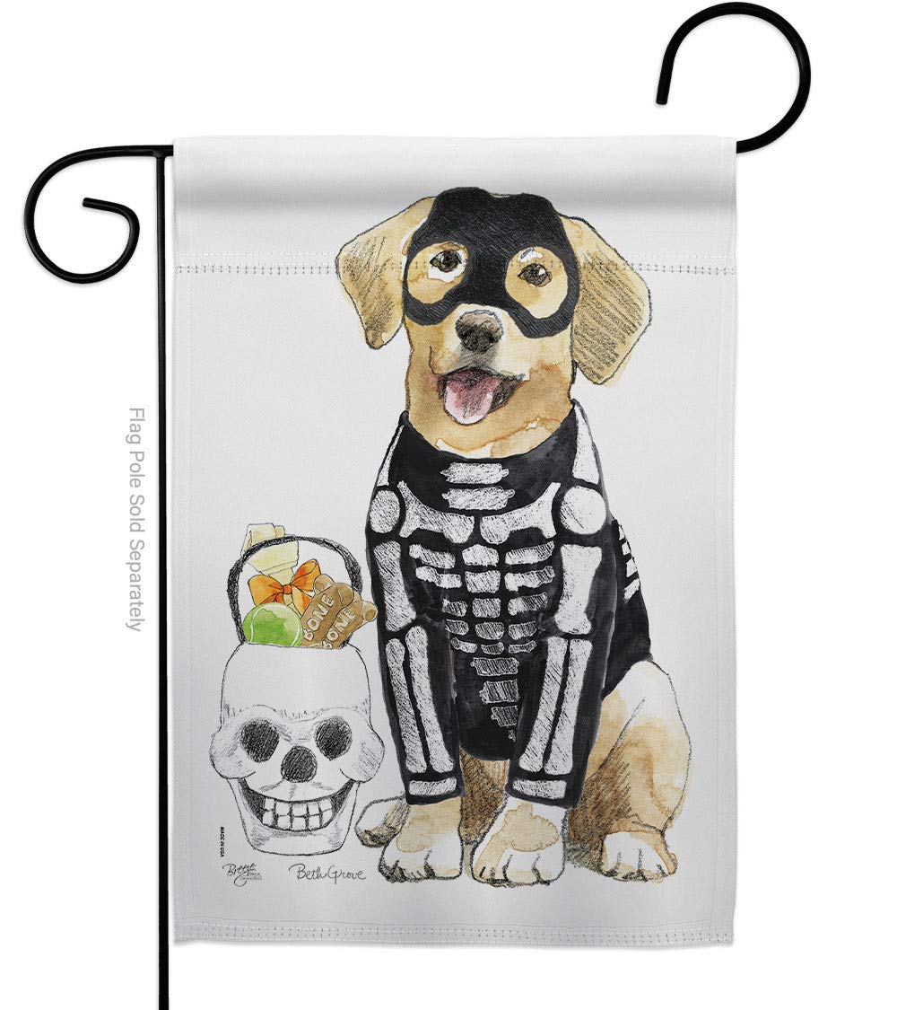 Breeze DecorSpooky Skeleton Lab Fall Halloween Witch Trick or Treat Night Black Cat Season Autumntime Pumpkin House Decoration Banner Small Yard Gift Double-Sided, Garden Flag 13"x 18.5", Made In USA
