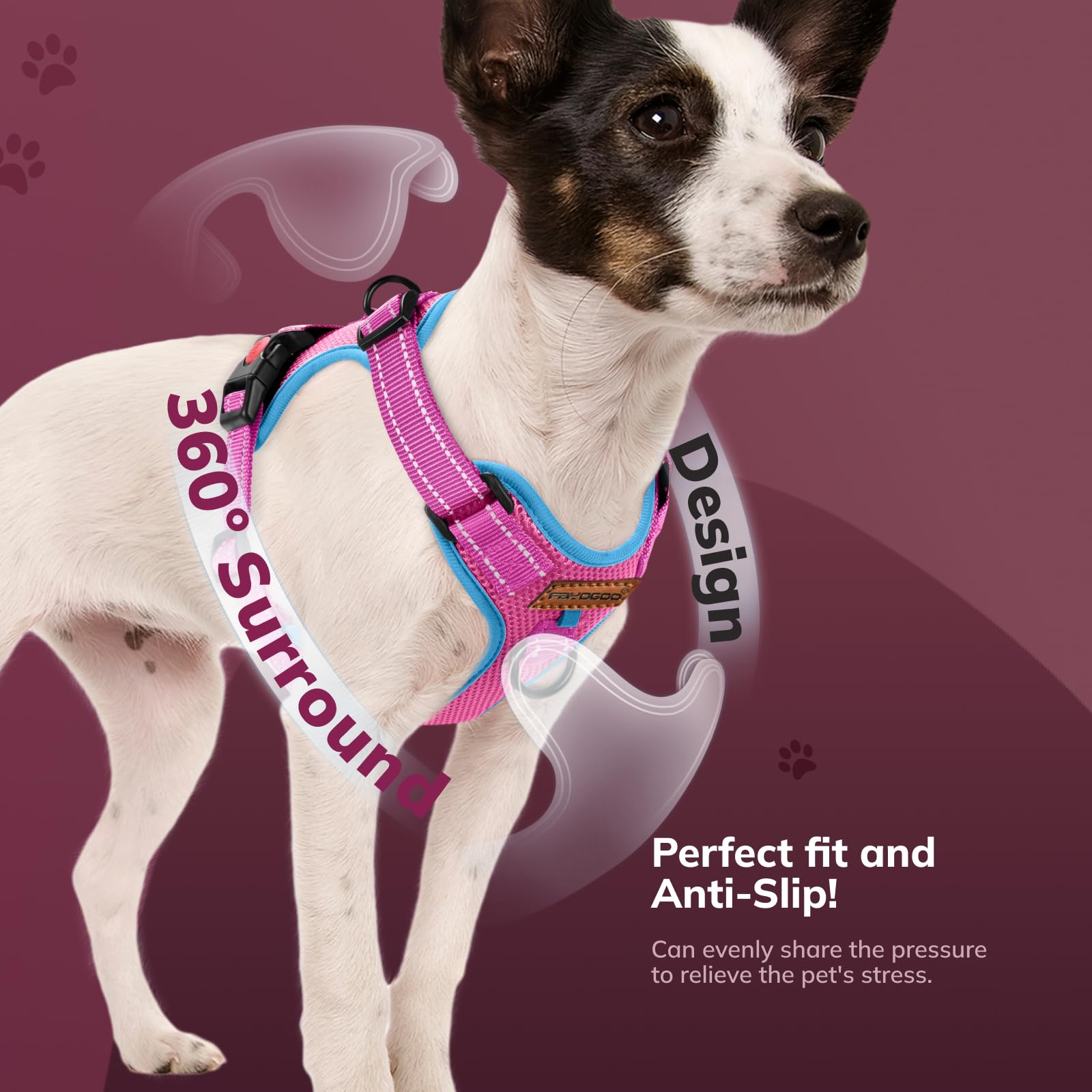 FAYOGOO Pettorina Cane, Pettorina Cane Taglia Media Regolabile, Traspirante Pettorina Cane Taglia Grande con Guinzaglio, Pettorina Antifuga Cane per la Corsa, Passeggiate, Jogging (Rosa, M)