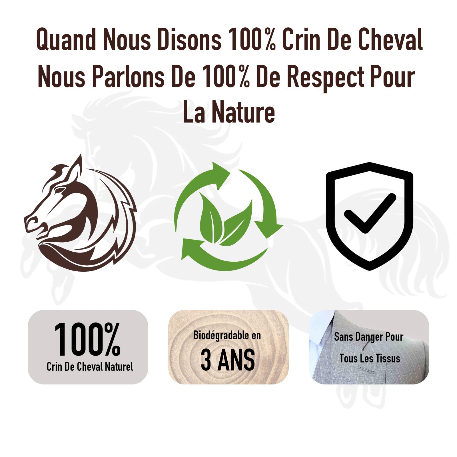 Kit Brosse Chaussure & Cuir 4 Pièces - 100% Crin de Cheval Naturel & Microfibre - Set d'Entretien Premium pour Chaussures, Sacs à Main, Bottes, Canapés et Intérieur Auto - Sans Rayures