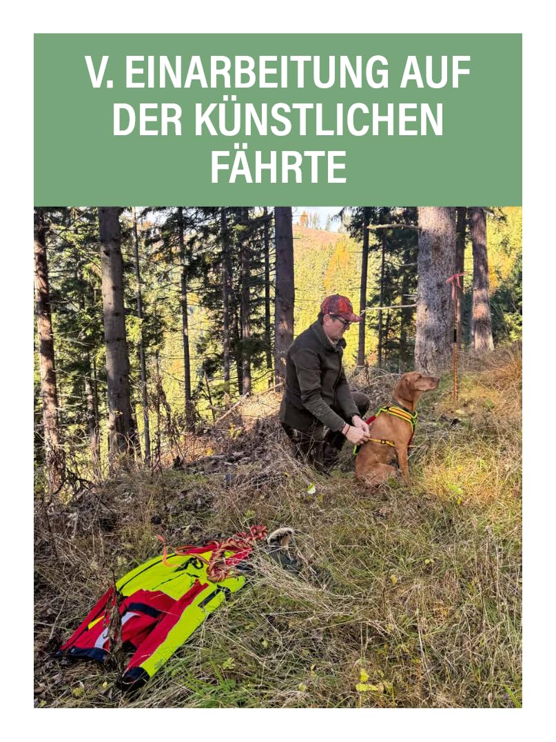 Jagdhunde ausbilden: Vom Grundgehorsam bis zum Training für die Nachsuche