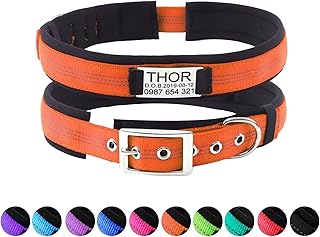 Rising paw Personalized Dog Collars,11 Colors 4 Sizes,Customs Reflective Dog Collar with Name Plate,Padded Pet Collar with Engraved Slide on ID Tags for Small Medium Large Dogs