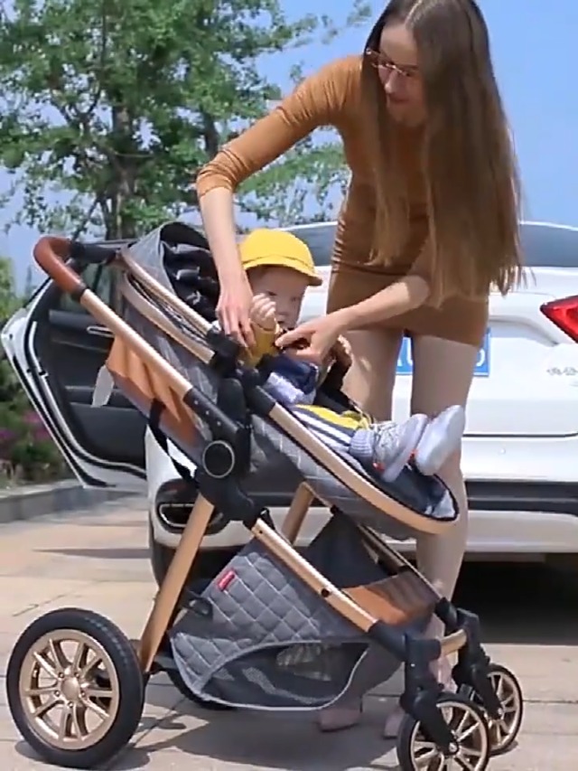 Amazon.com : 2 in 1 Baby Stroller, Convertible Pram, Reversible