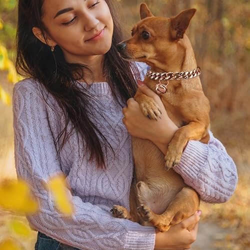 Miniatura 8 de Collar plateado para perro y gato, color blanco, de 12 pulgada de ancho, acero inoxidable, cadena de eslabones cubanos con campana (cuello de 10 a