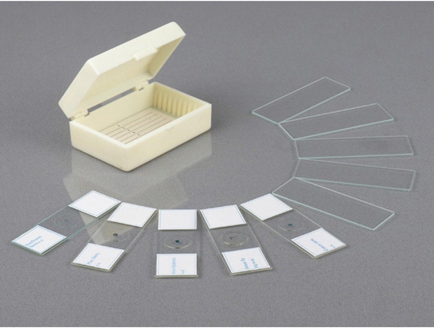 AmScope M60C Beginner Microscope Kit - 40x-1000x Magnification With Slides & Case