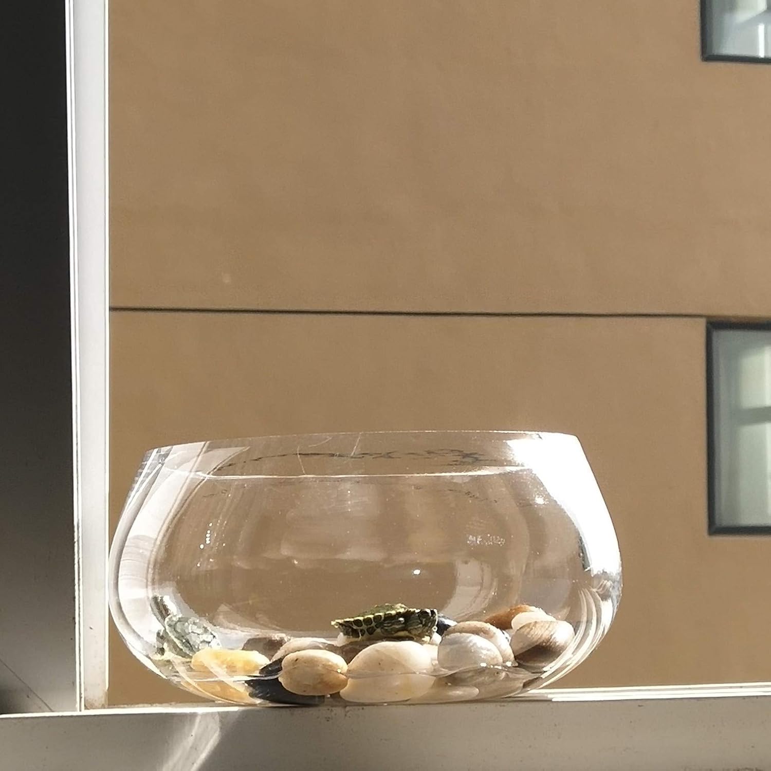 FANTIAN Decorative Polished Pebbles for Plants - Natural Smooth Mixed Color Pebbles Aquarium Gravel, Vase Fillers, Outdoor Decorative Stones and DIY River Rocks (2, Medium) : Garden & Outdoor