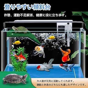 Amazon | 亀 浮き島 水槽台 人工芝 芝 休憩 吸盤 爬虫類