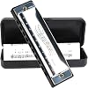 Blues Harmonica in C, Diatonic 10 Holes 20 Tones Mouth Organ Key of C Stainless Steel Mini Blues Harmonica for Kids Adults Beginners and Performers Silver