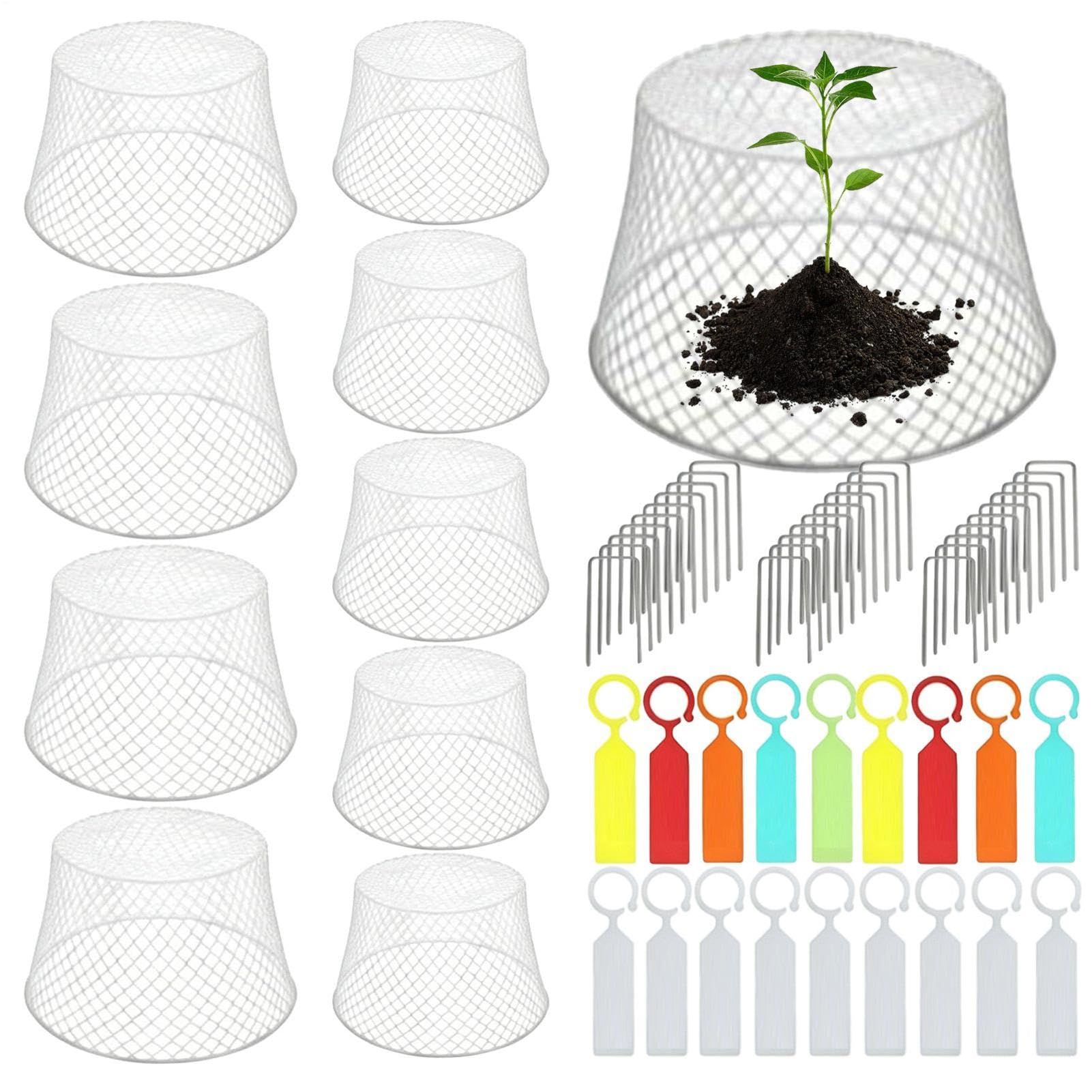 Cloches d'extérieur en maille de fer, 10 pièces, 20,5 x 15 x 10,5 cm, clôtures de protection pour jardin, parterres de fleurs et protection de jeunes végétations